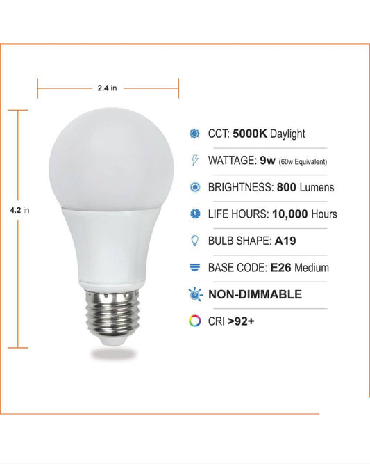 ES 60-Watt Equivalent A19 Non Dimmable CEC Title 20 Pro Pack LED Light Bulb Daylight 5000K 6PK